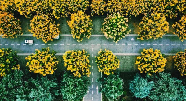 微信圖片_20200928211827.jpg 微信圖片_20200928211827.jpg